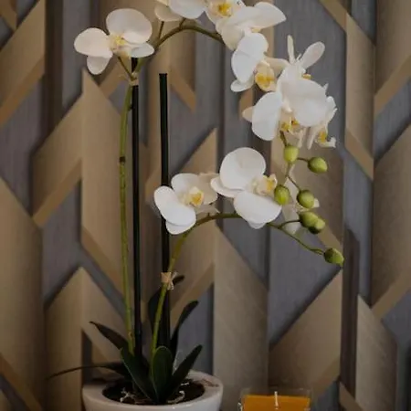 Apartament Citypark Budapeszt